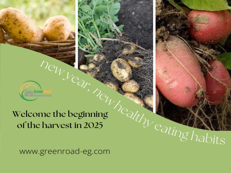 green-road-for-agricultural-investment-company-3