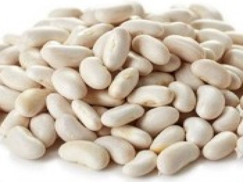 lima-bean